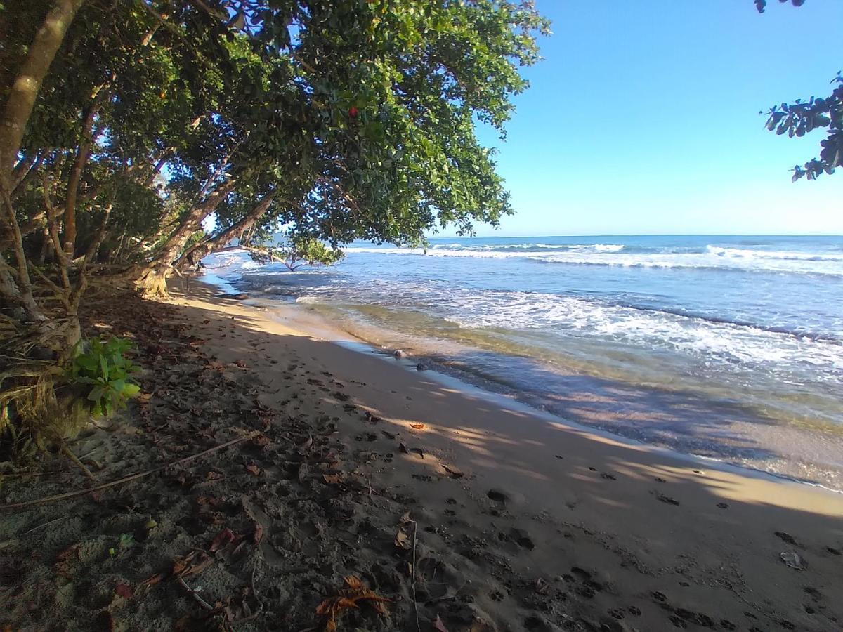 ホテル Escape Caribeno Puerto Viejo de Talamanca エクステリア 写真