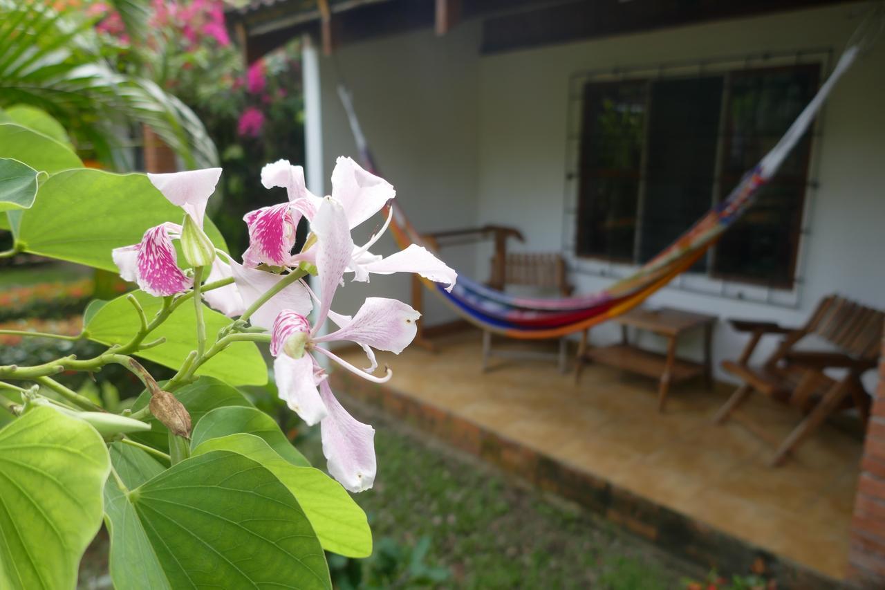 ホテル Escape Caribeno Puerto Viejo de Talamanca エクステリア 写真